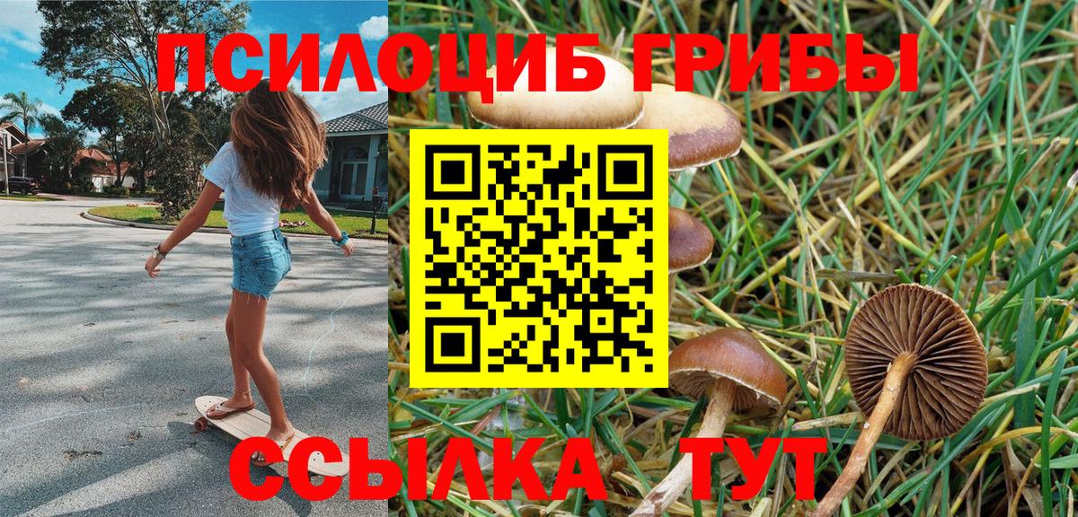 Псилоцибиновые грибы мицелий Похвистнево