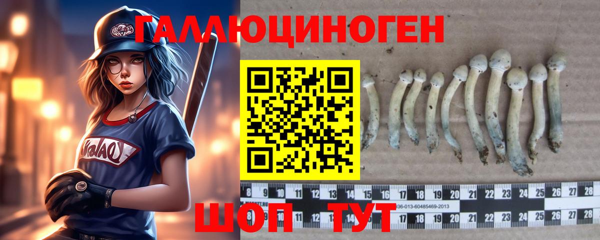 Галлюциногенные грибы Psilocybe  Вход с VPN  Похвистнево 